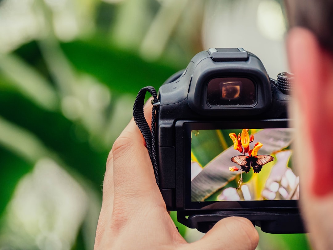 Landscape Photography